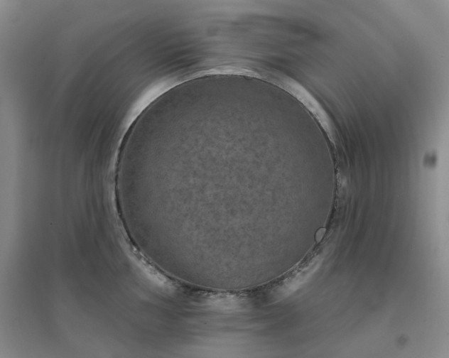 X0000094461002200711151445