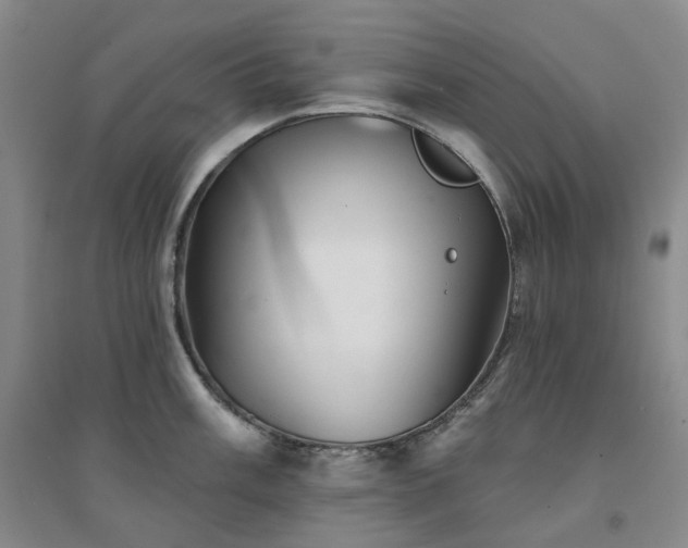X0000094461003200711151445