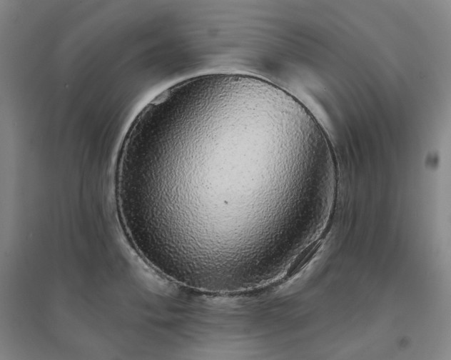X0000094461004200711151445