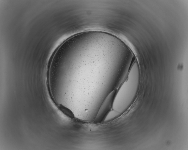 X0000094461005200711151445