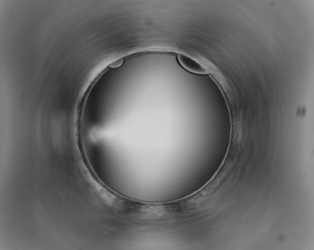 X0000094461006200711151445