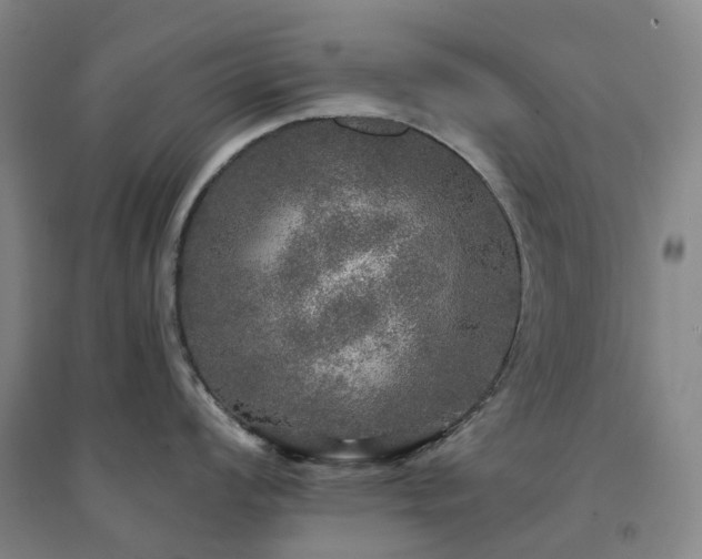 X0000094461008200711151445