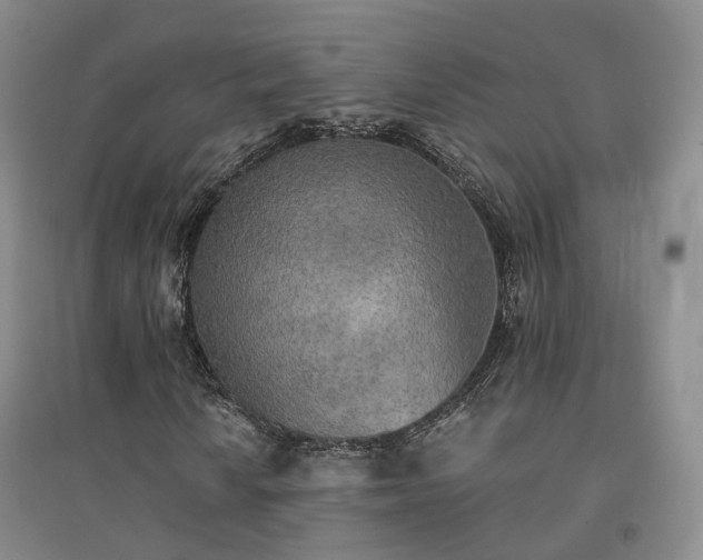 X0000094461010200711151445