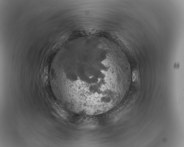 X0000094461011200711151445