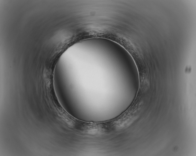 X0000094461012200711151445