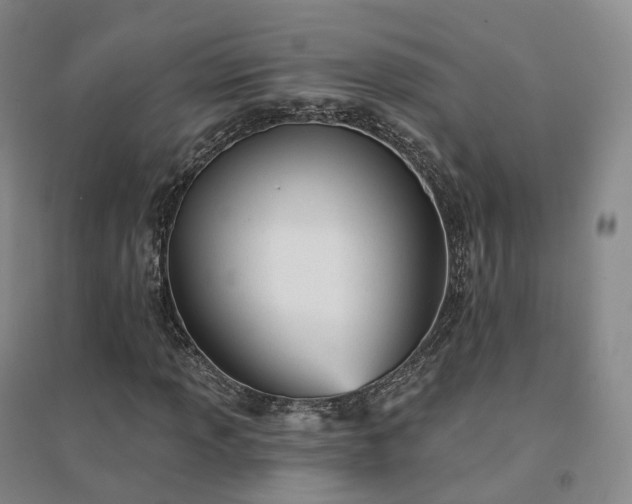 X0000094461013200711151445