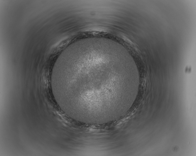 X0000094461014200711151445