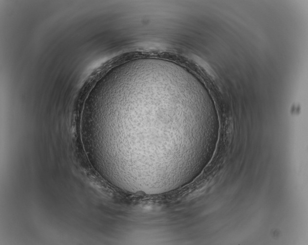X0000094461016200711151445
