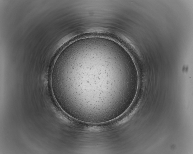 X0000094461017200711151445
