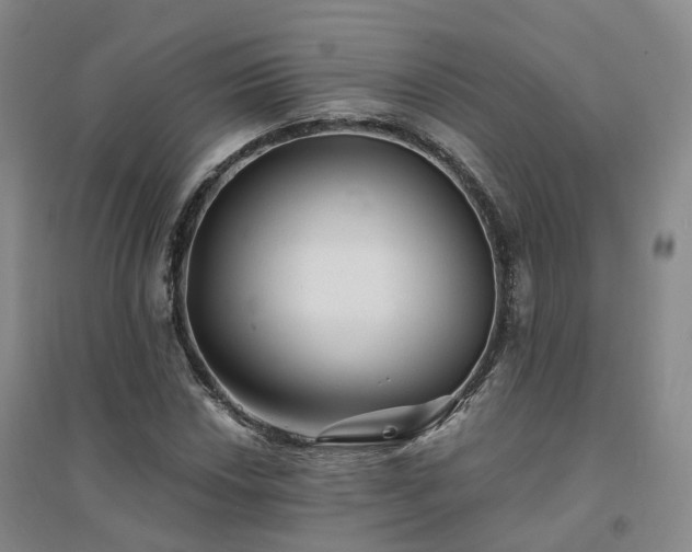 X0000094461018200711151445
