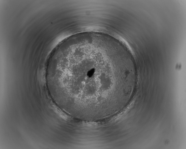 X0000094461019200711151445