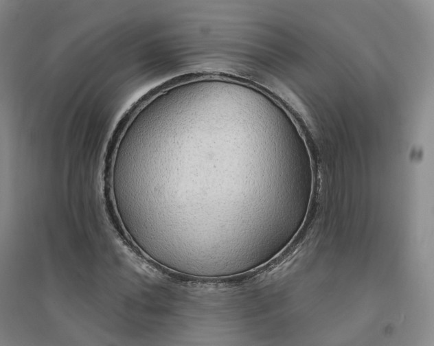 X0000094461020200711151445