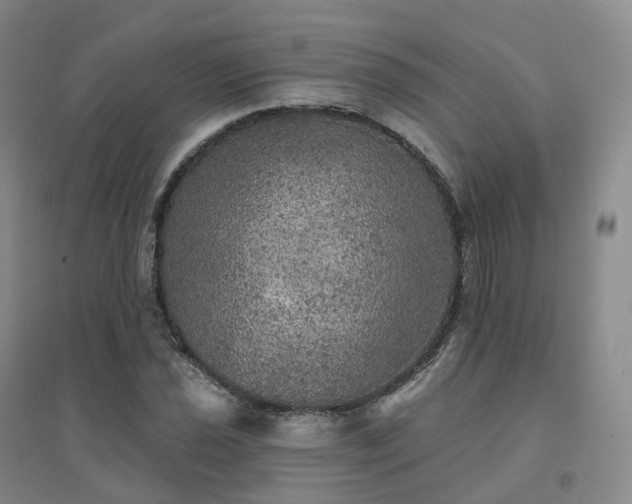X0000094461021200711151445