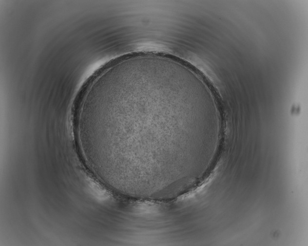 X0000094461022200711151445
