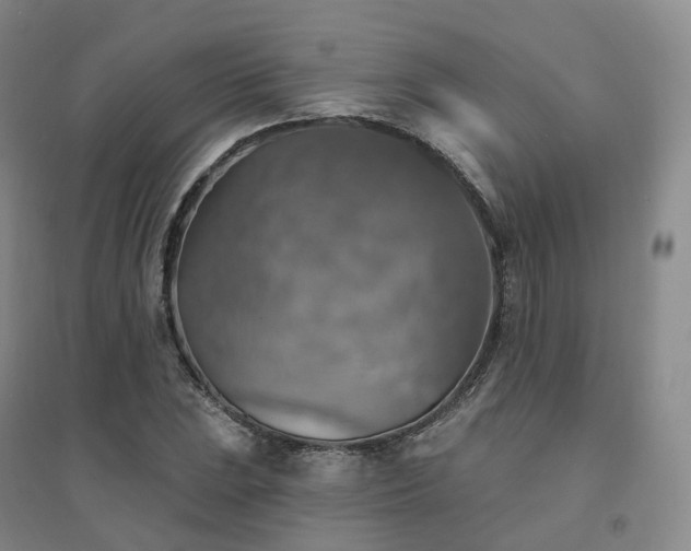 X0000094461023200711151445