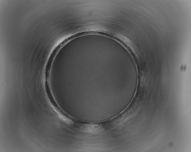 X0000094461024200711151445