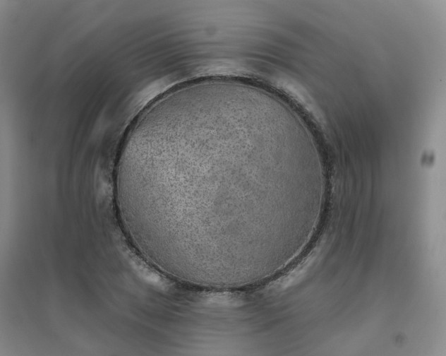 X0000094461025200711151445