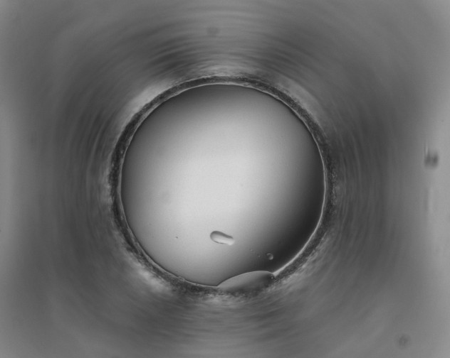X0000094461026200711151445