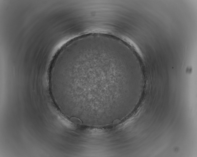 X0000094461027200711151445