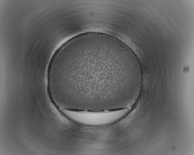 X0000094461028200711151445
