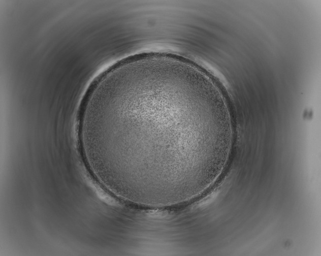 X0000094461029200711151445