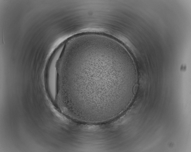 X0000094461030200711151445