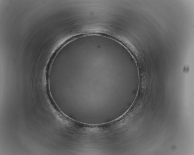 X0000094461031200711151445