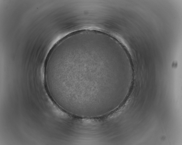 X0000094461032200711151445