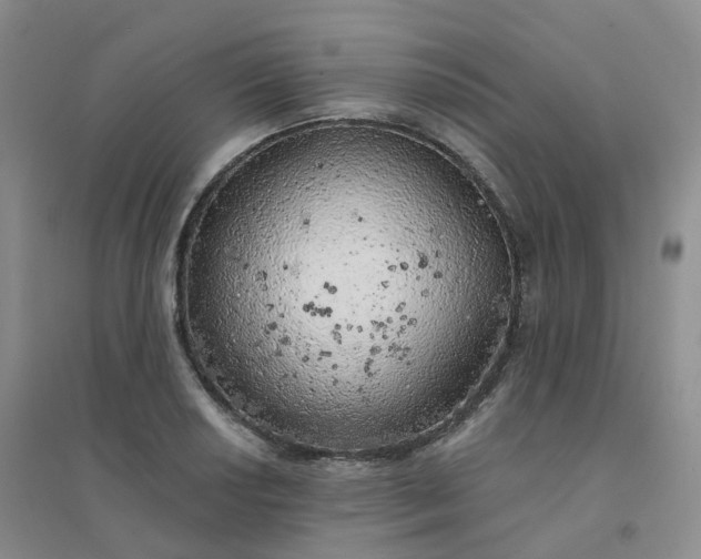 X0000094461034200711151445