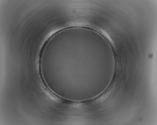 X0000094461035200711151445