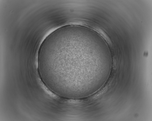 X0000094461036200711151445