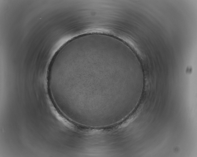 X0000094461038200711151445