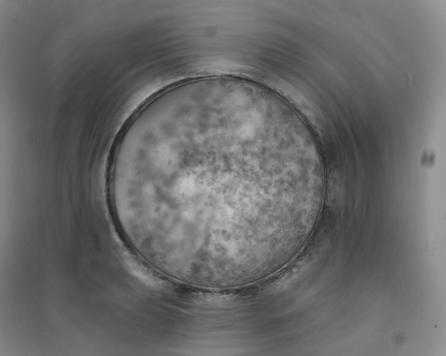 X0000094461039200711151445