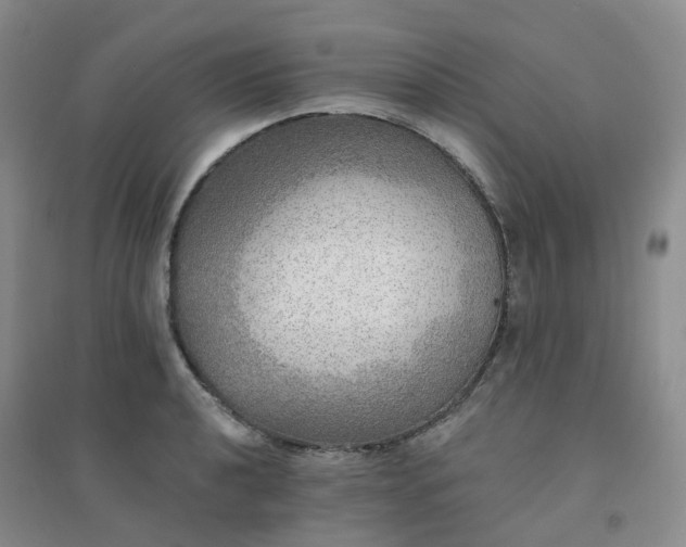 X0000094461040200711151445