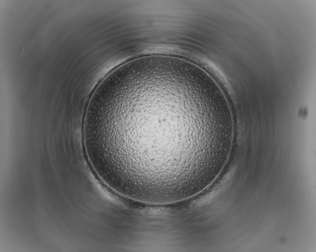 X0000094461041200711151445