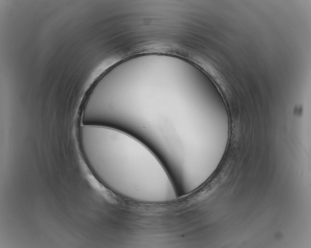 X0000094461042200711151445