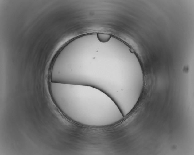 X0000094461043200711151445