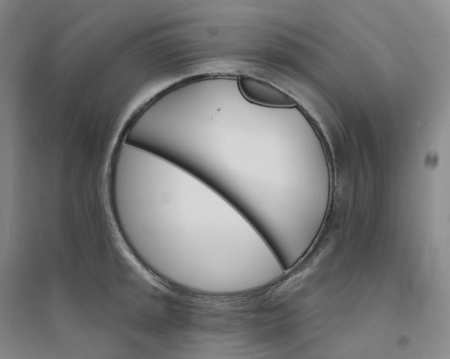 X0000094461045200711151445
