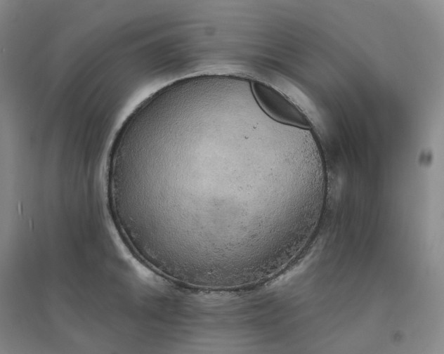X0000094461046200711151445