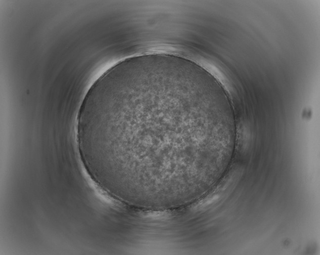 X0000094461047200711151445
