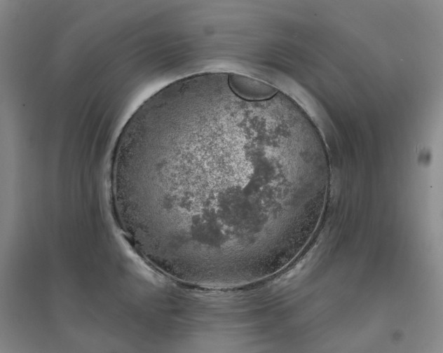 X0000094461048200711151445