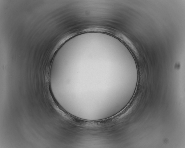 X0000094461049200711151445