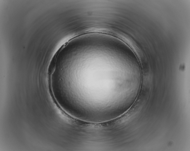 X0000094461050200711151445