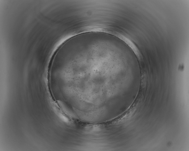 X0000094461051200711151445
