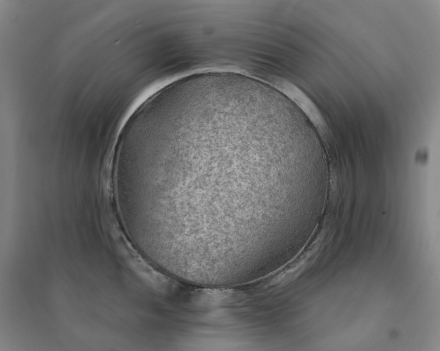 X0000094461052200711151445
