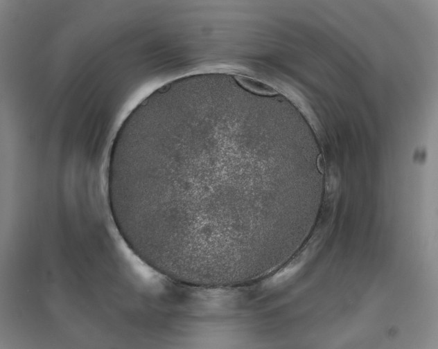 X0000094461054200711151445