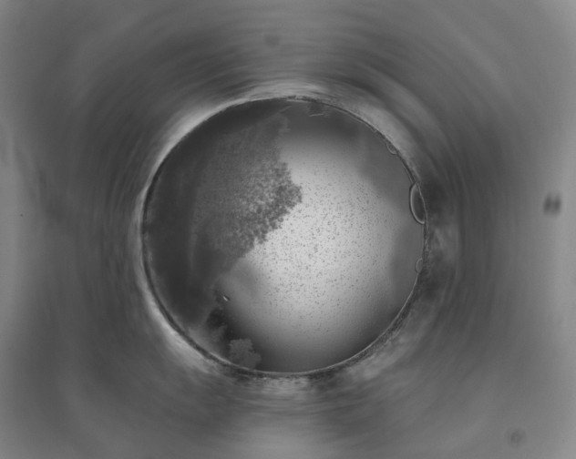X0000094461055200711151445