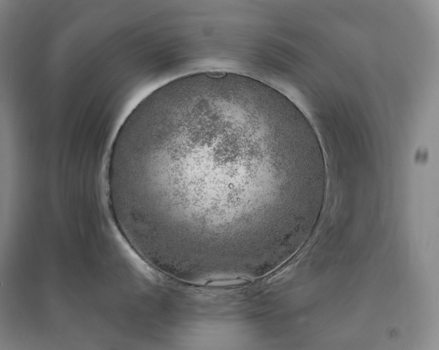 X0000094461056200711151445
