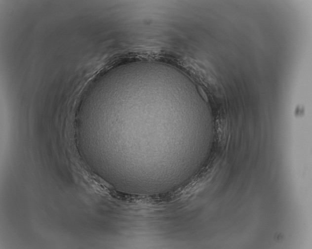 X0000094461057200711151445