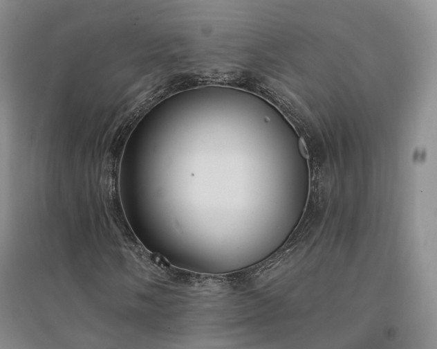 X0000094461058200711151445